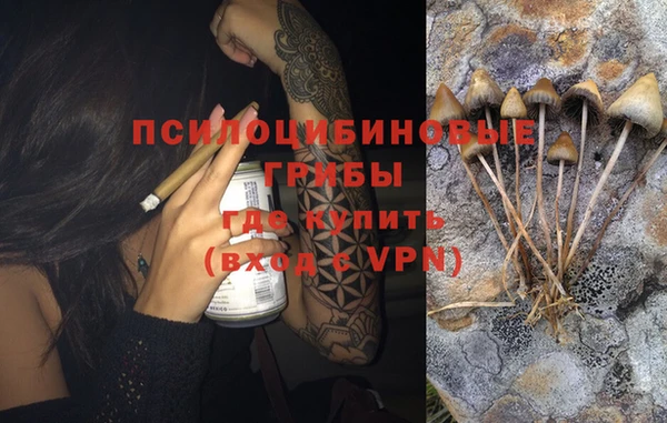 дурь Алзамай