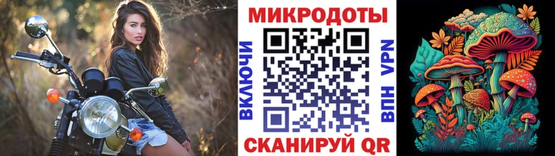 как найти закладки Королёв Галлюциногенные грибы Cubensis