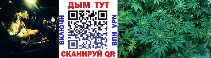 Каннабис конопля  где найти   Королёв 